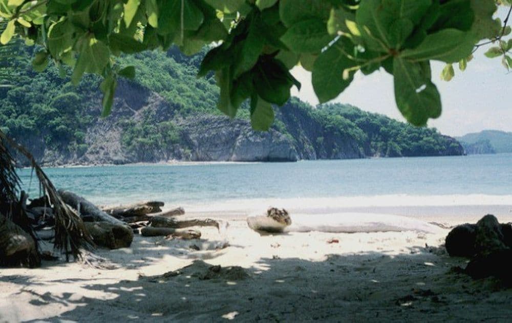 Die schönsten Strände in Costa Rica: Isla Tortuga