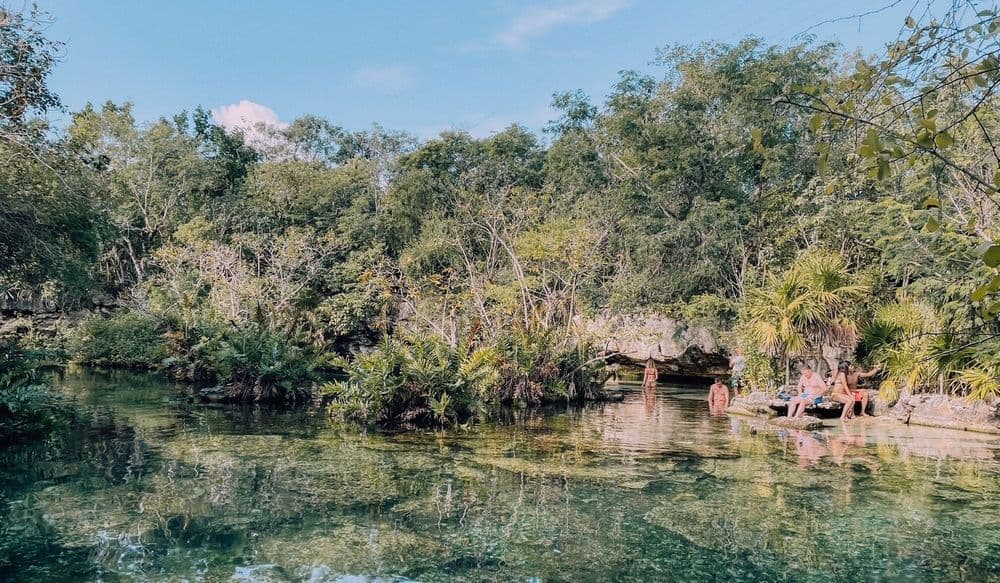 cenozes yucatan