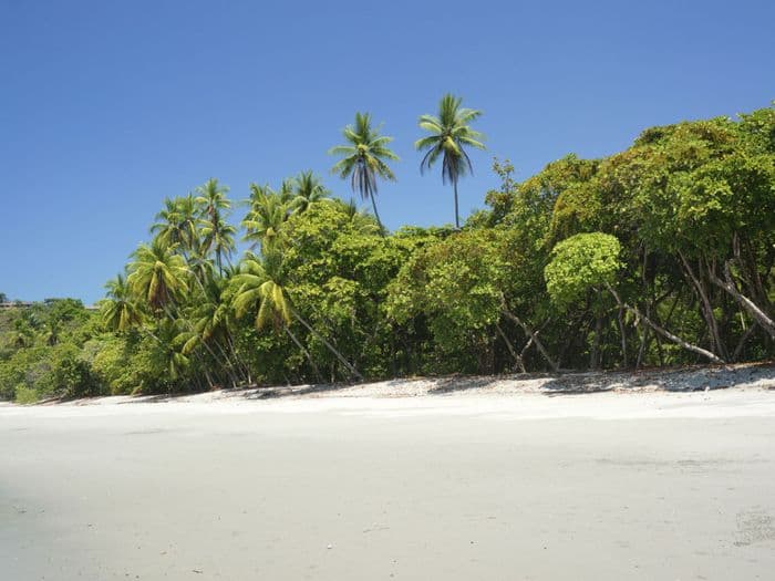 Puraventura