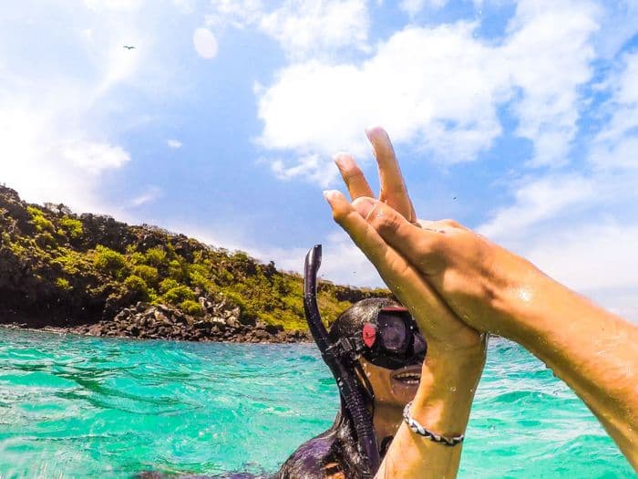dive ecuador galapagos gopro schorcheln snorkeling under water underwater unterwasser vivideo 133 - viventura South America Tours GoPro Footage