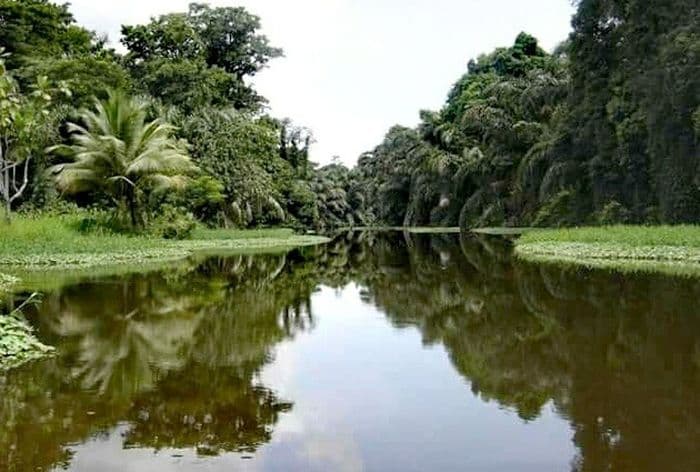 Puraventura