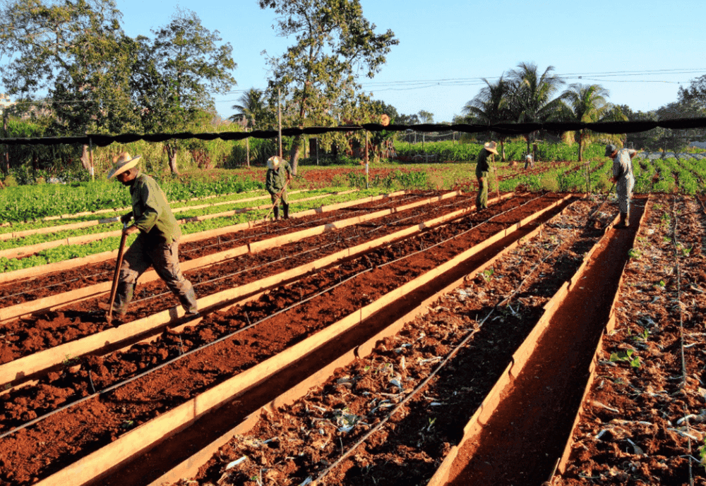 Sehenswürdigkeiten in Havanna: Alamar