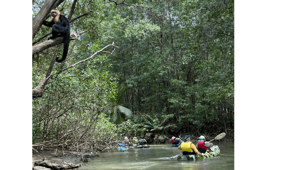 PUR 05.25 Hidden Gems TS – Isla Damas, Kayak and monkey