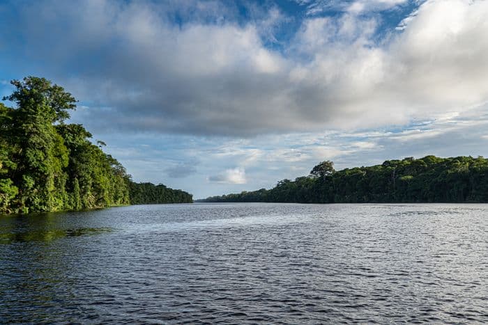 Tortuguero