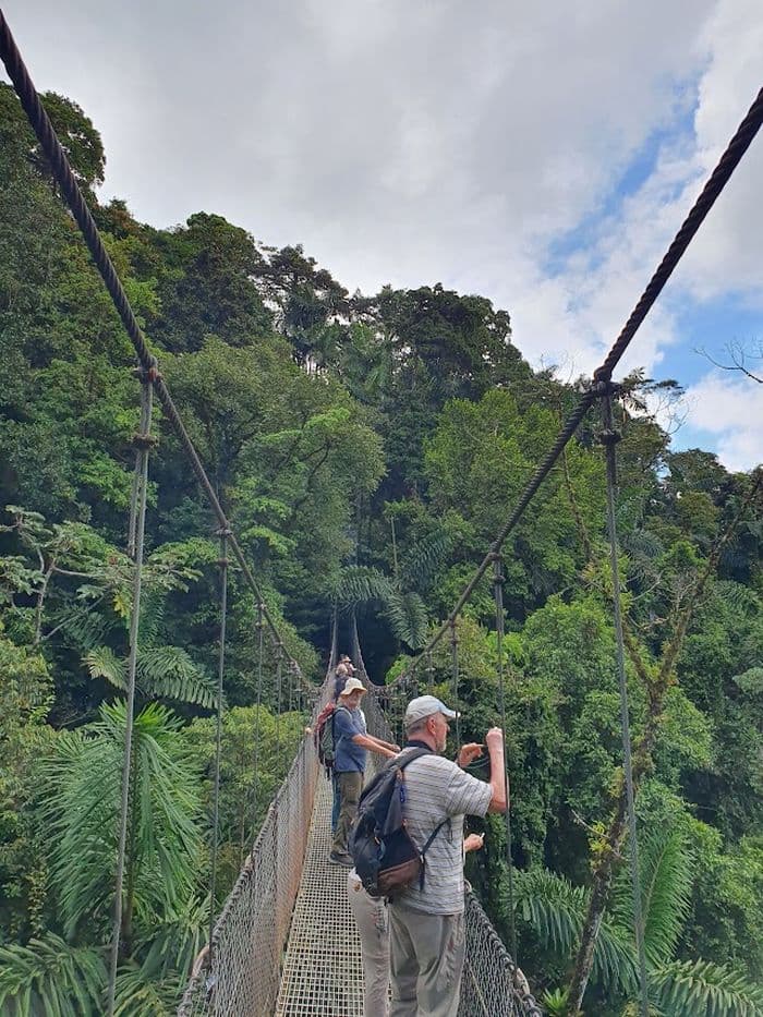 Místico Hanging Bridges