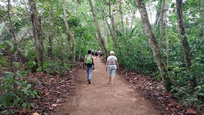 in Richtung des Meeres von Cahuita